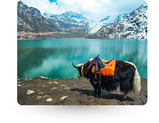 LUXURY TOURS